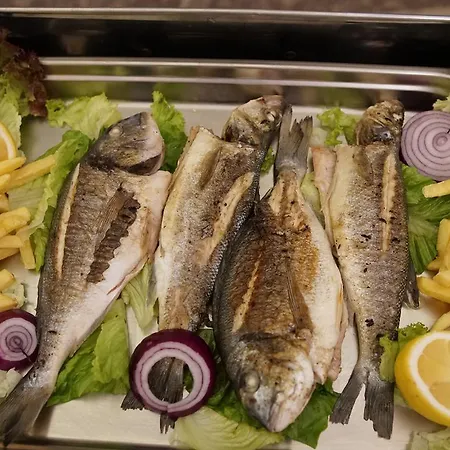 Aria Boutique 酒店